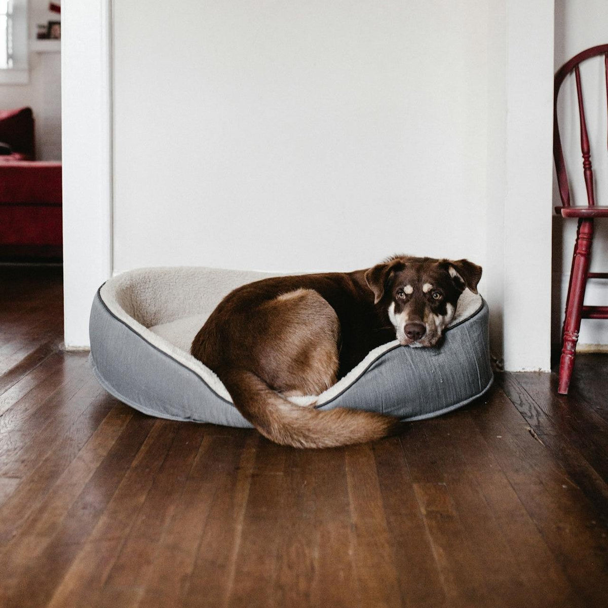 Pet Beds
