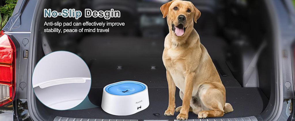 Spill-Proof Slow Flow Bowl