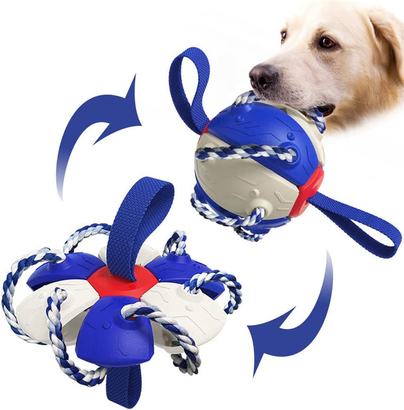 Inflated Training Toy For Pet
