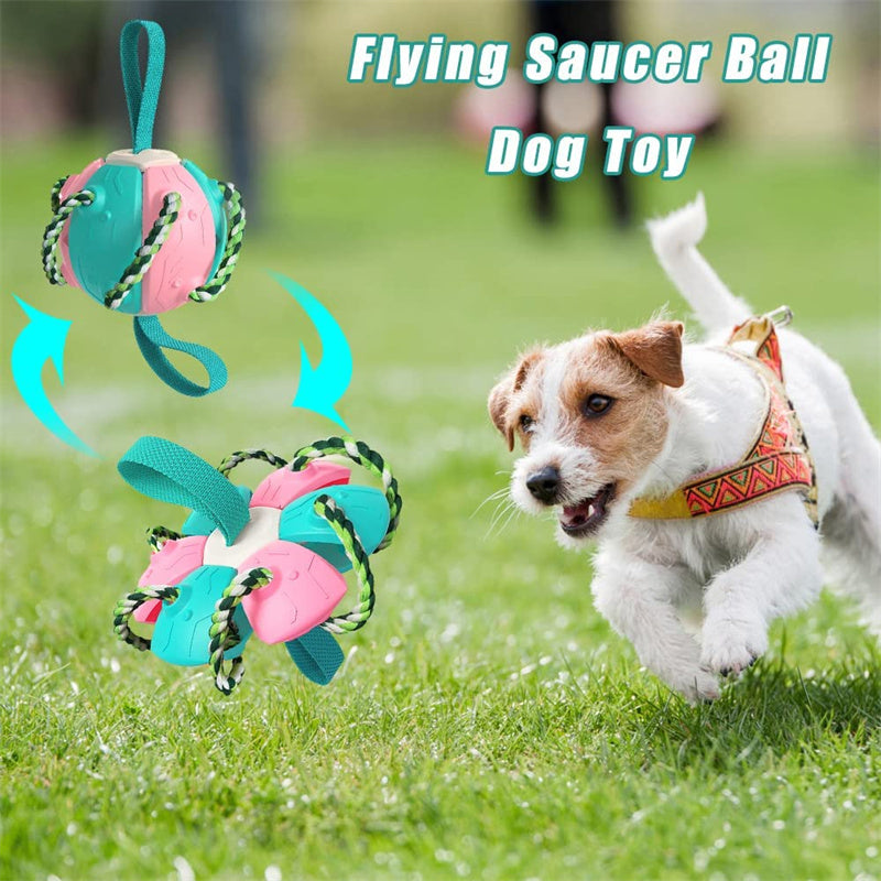 Inflated Training Toy For Pet