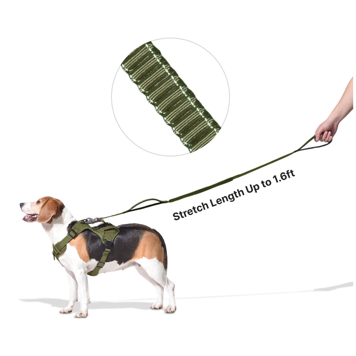 Shock-Absorbing Tactical Leash