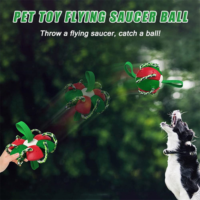 Inflated Training Toy For Pet
