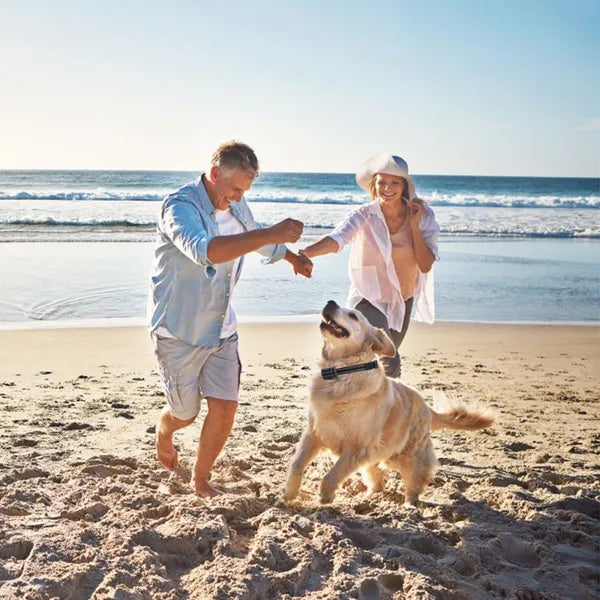 Dog Bark Beep Receiver