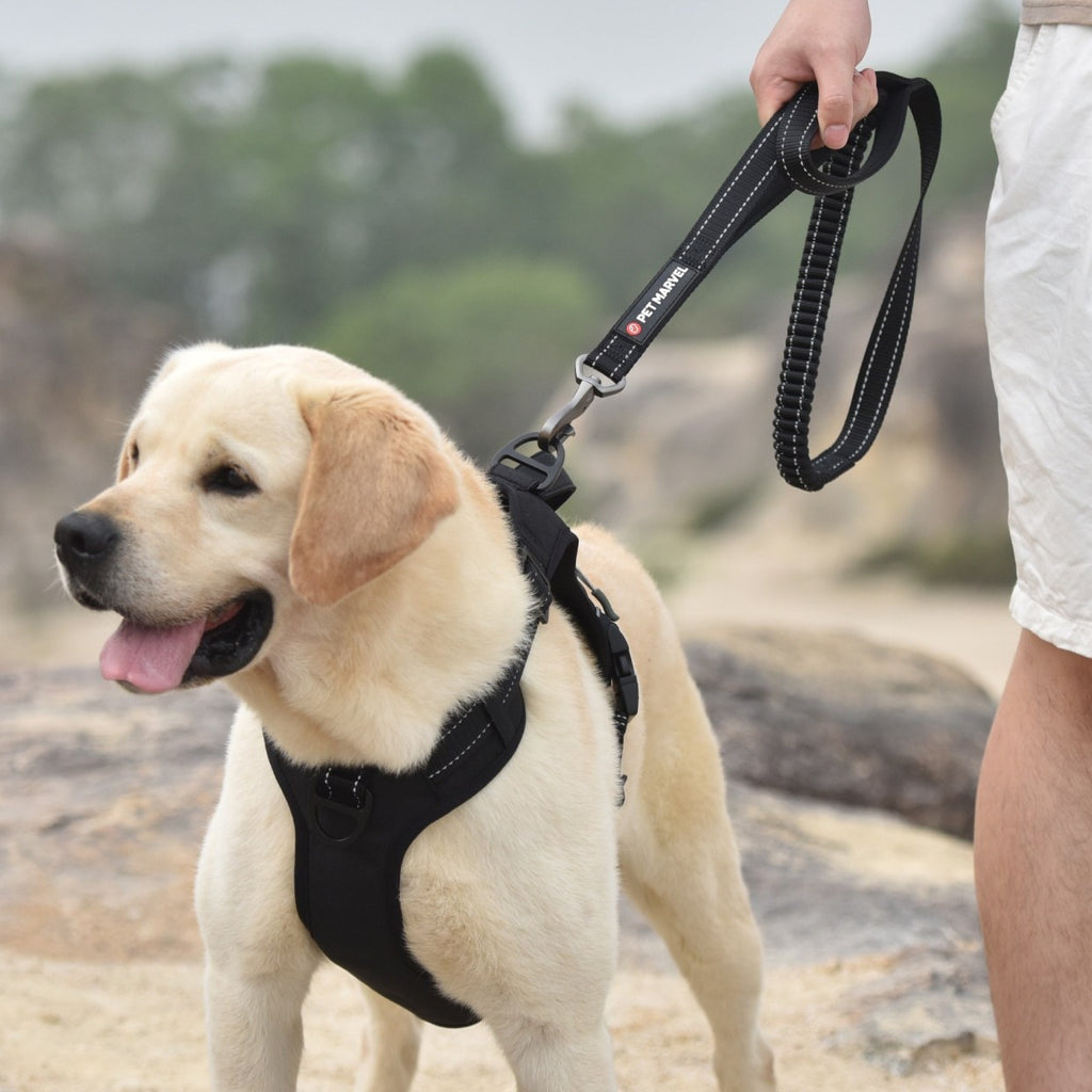 Shock-Absorbing Tactical Leash