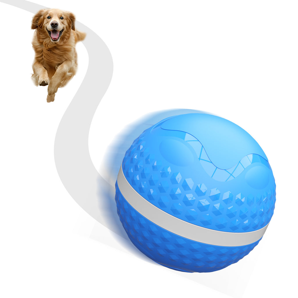 Automatic Moving Ball Toy