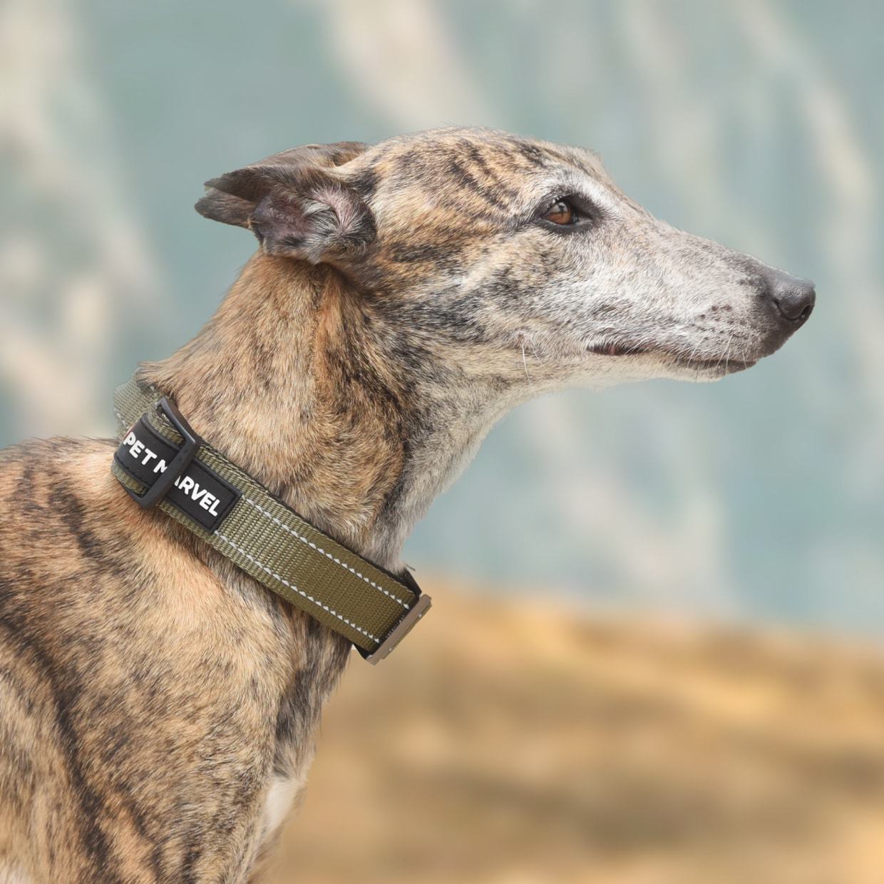 Tactical Dog Collar Handle