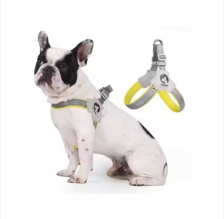 Adjustable Pet Harness Set