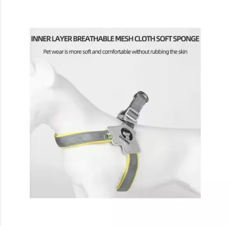 Adjustable Pet Harness Set