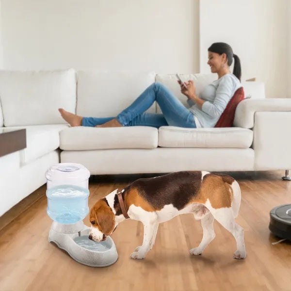 Gravity Pet Water Dispenser